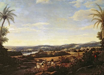 Brasilianische Landschaft mit einer Plantage